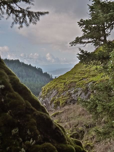view of Metchosin