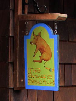 Boars Bristle Studio