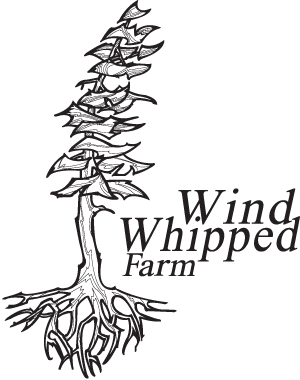Wind Whipped Farm