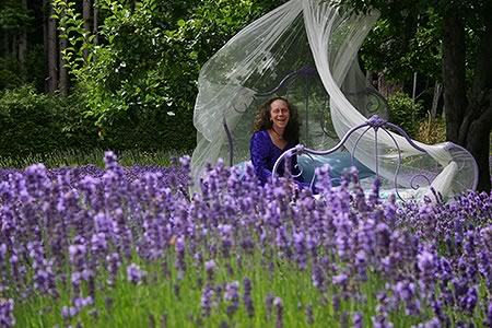 Happy Valley Lavender