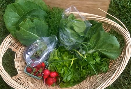 The Local Food Box