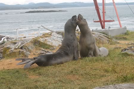 Race Rocks Ecological Reserve