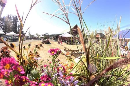 Metchosin Farmers' Market