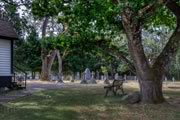St. Mary's cemetery