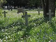 St. Mary's cemetary