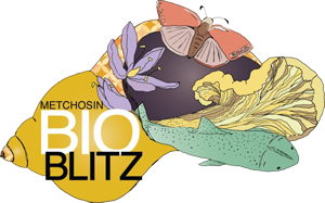 Metchosin BioBlitz