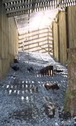 inside the flight pen