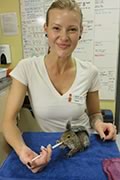 volunteer feeding Squirrel