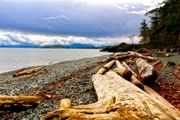 beach at Devonian Park