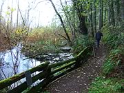 wetlands at Devonian Park