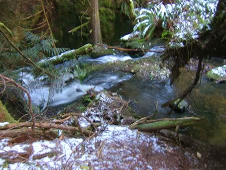 Galloping Goose Regional Trail