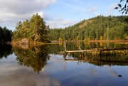 Matheson Lake island reflection