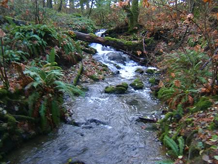 Devonian Regional Park