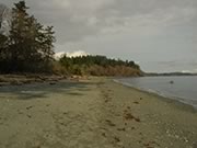 Taylor Beach
