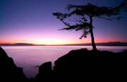 Sunrise at Taylor Beach