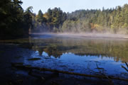 near Witty's Lagoon