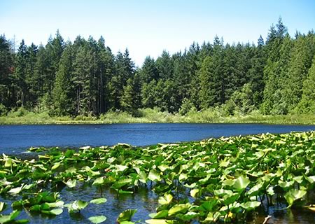 Blinkhorn Lake