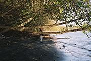 Witty's Beach
